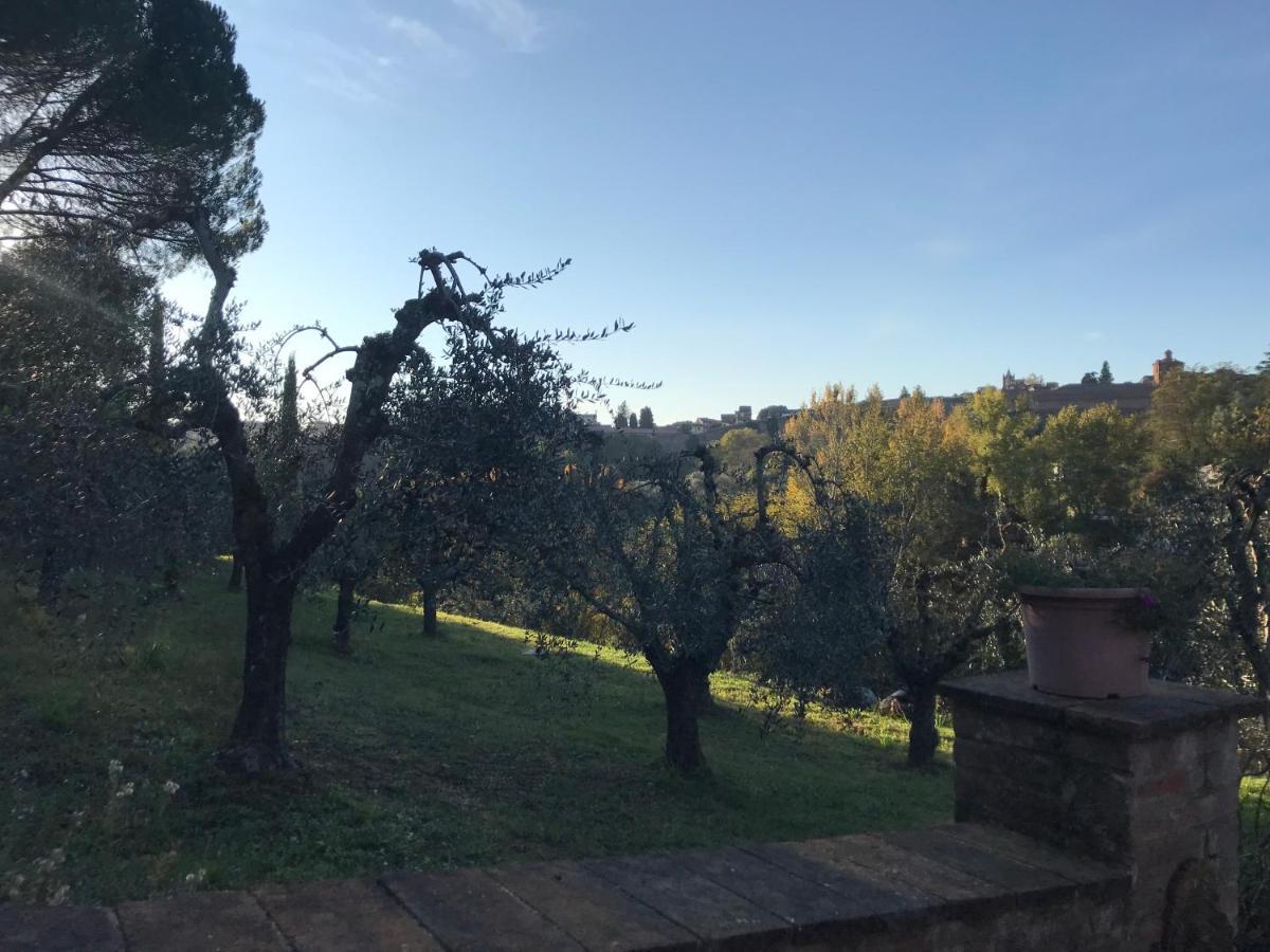 锡耶纳La Perla Tra Gli Ulivi公寓 外观 照片