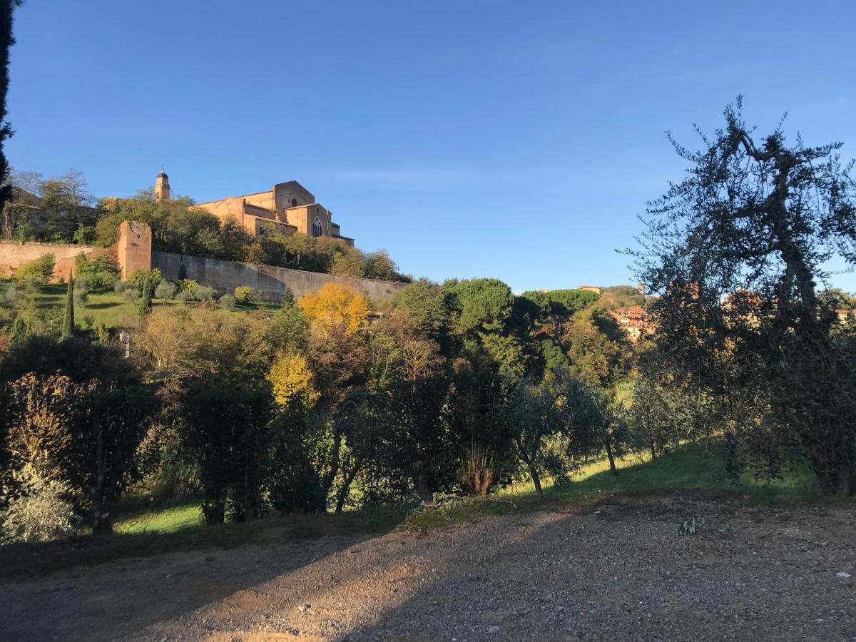 锡耶纳La Perla Tra Gli Ulivi公寓 外观 照片