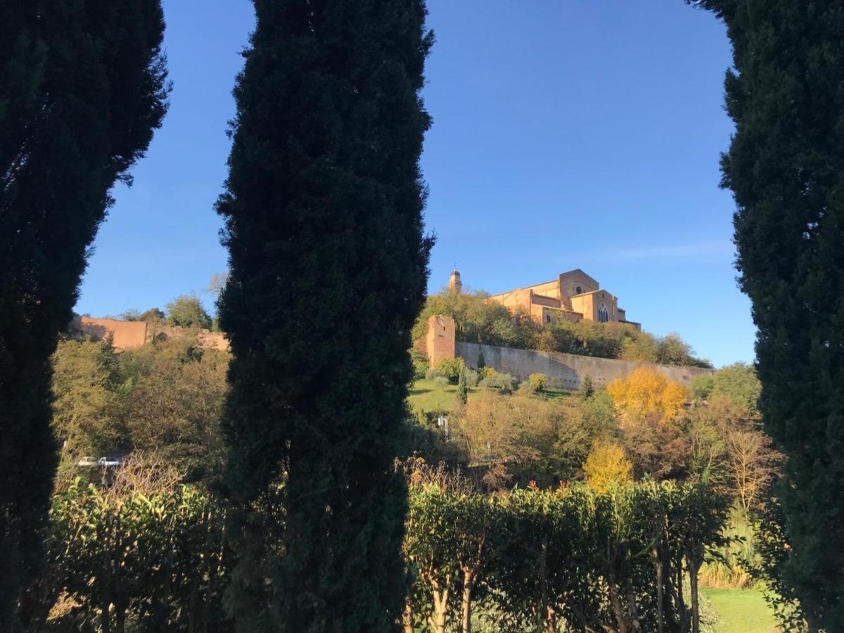 锡耶纳La Perla Tra Gli Ulivi公寓 外观 照片